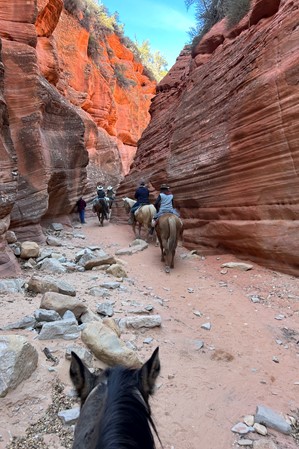 A group of people horseback riding along a slot canyon on a clear blue sky day.