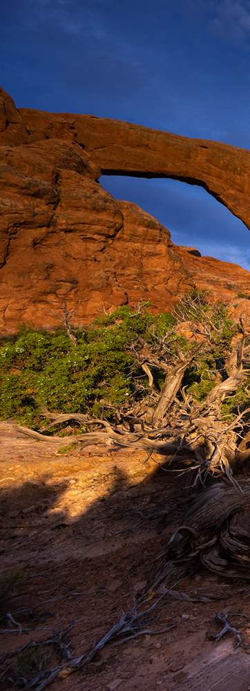 Arches National Park