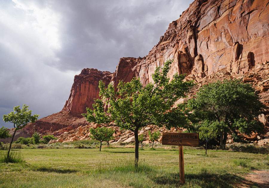Fruita Orchard in Capitol Reef National Park