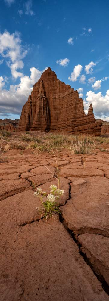 Capitol Reef National Park