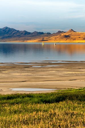 A lake with a sandy shore and green grass beside it, with small mountains visible in the backdrop across the water.