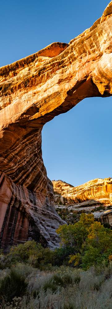 Natural Bridges National Monument