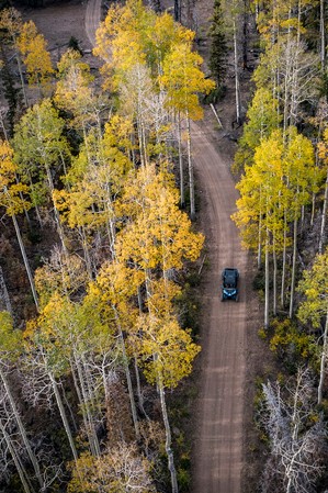 Fishlake National Forest