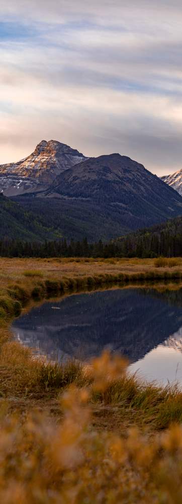 Uinta Wasatch Cache Forest