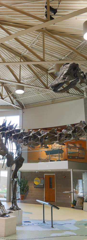 Utah Field House of Natural History State Park Museum
