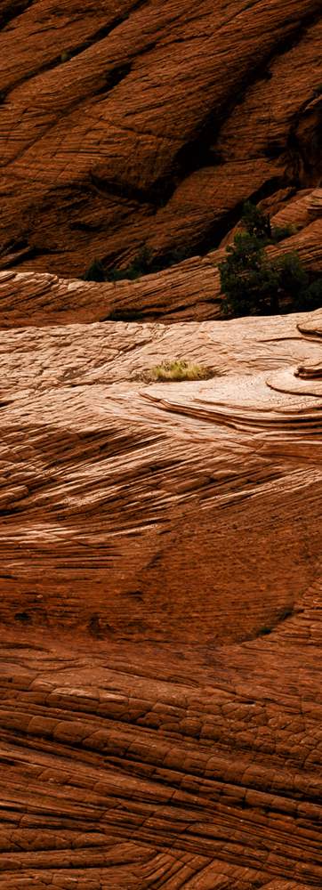 Snow Canyon State Park