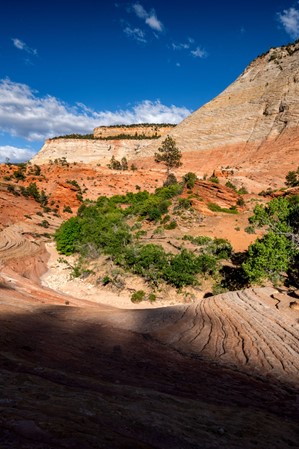 Zion National Park